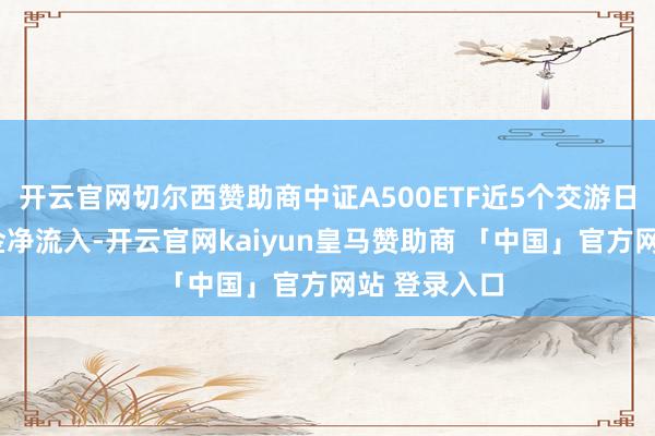 开云官网切尔西赞助商中证A500ETF近5个交游日内有4日资金净流入-开云官网kaiyun皇马赞助商 「中国」官方网站 登录入口
