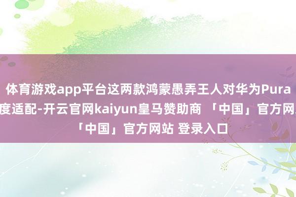 体育游戏app平台这两款鸿蒙愚弄王人对华为Pura X进行了深度适配-开云官网kaiyun皇马赞助商 「中国」官方网站 登录入口