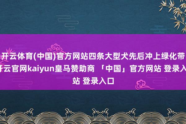 开云体育(中国)官方网站四条大型犬先后冲上绿化带-开云官网kaiyun皇马赞助商 「中国」官方网站 登录入口