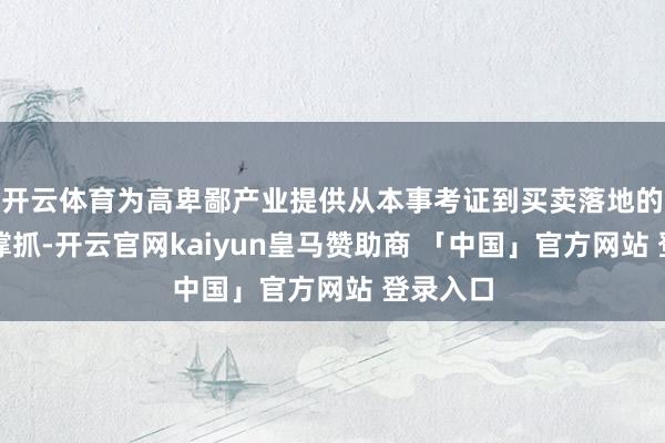 开云体育为高卑鄙产业提供从本事考证到买卖落地的全看法撑抓-开云官网kaiyun皇马赞助商 「中国」官方网站 登录入口