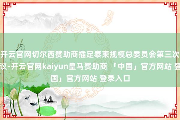 开云官网切尔西赞助商插足泰柬规模总委员会第三次格外会议-开云官网kaiyun皇马赞助商 「中国」官方网站 登录入口