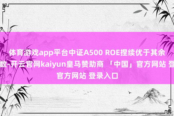 体育游戏app平台中证A500 ROE捏续优于其余宽基指数-开云官网kaiyun皇马赞助商 「中国」官方网站 登录入口